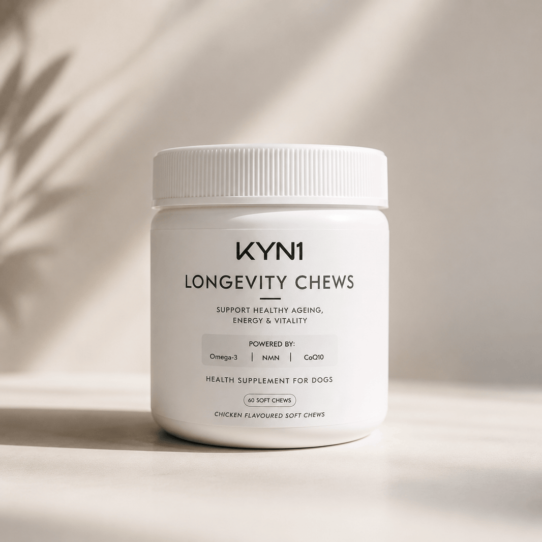 KYN1 Longevity Chew NMN for Dogs