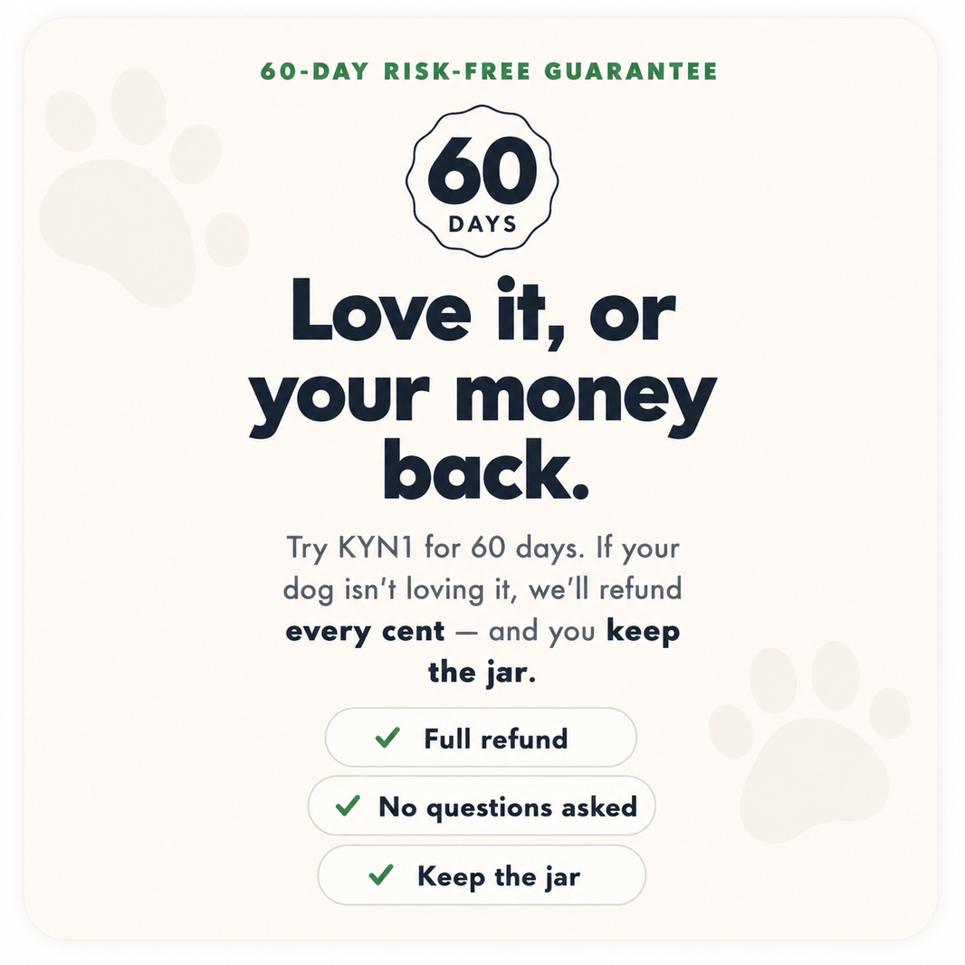 KYN1 Longevity Chews