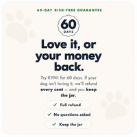 KYN1 Longevity Chews
