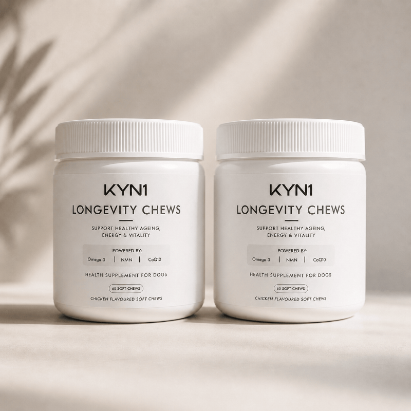 KYN1 Longevity Chews