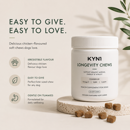 KYN1 Chews