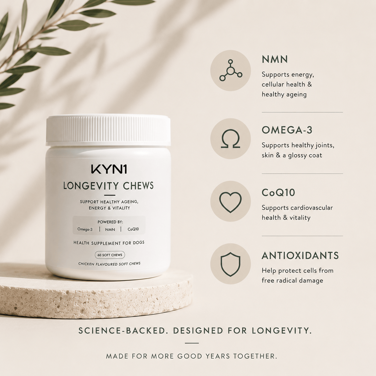 KYN1 Longevity Chew Key Ingredients
