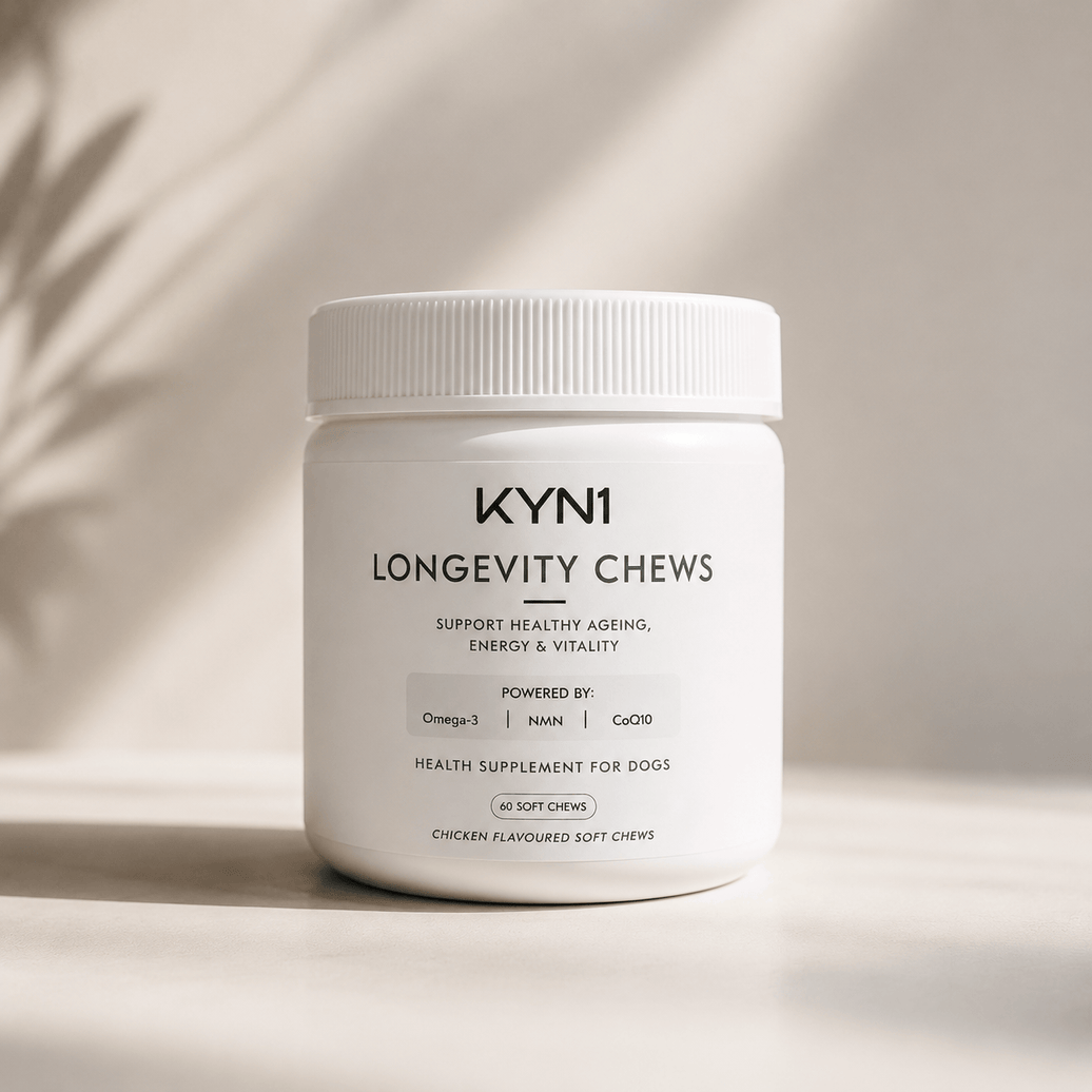 KYN1 Longevity Chew NMN for Dogs