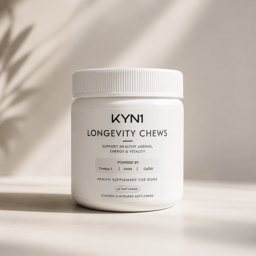 KYN1 Longevity Chew NMN for Dogs